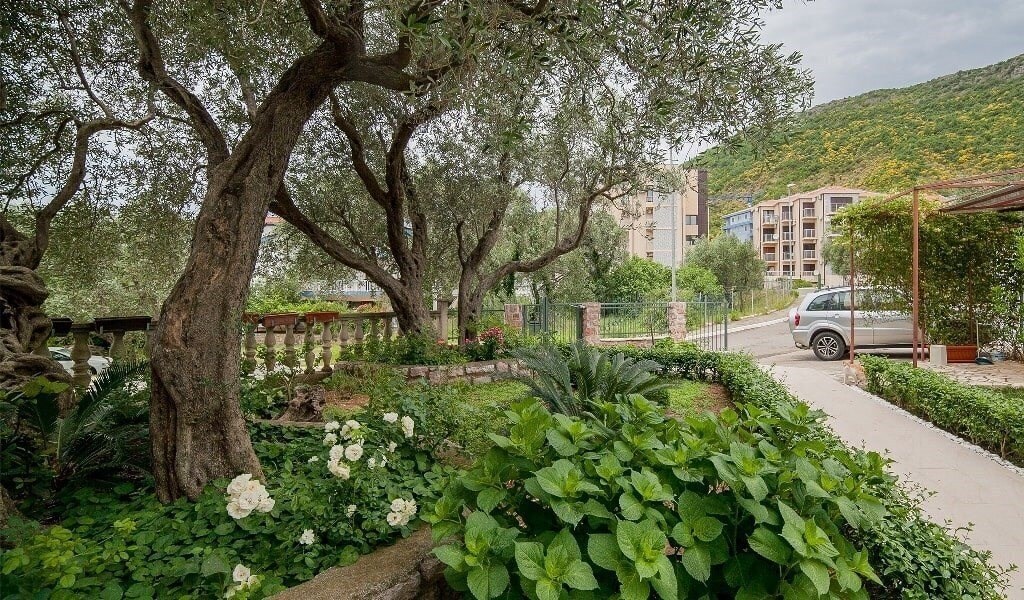 Изображение Petrovic Apart 3*