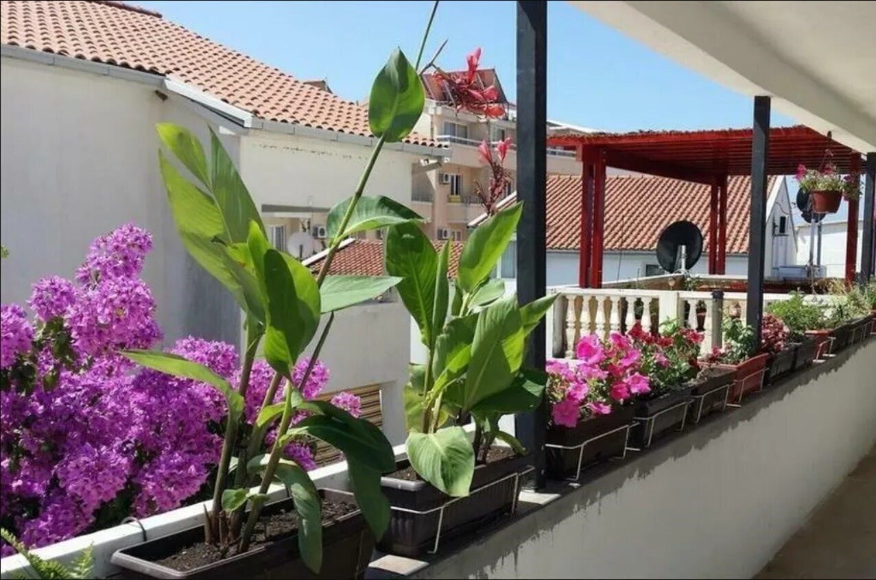 Фотография Kod Saicica 3*