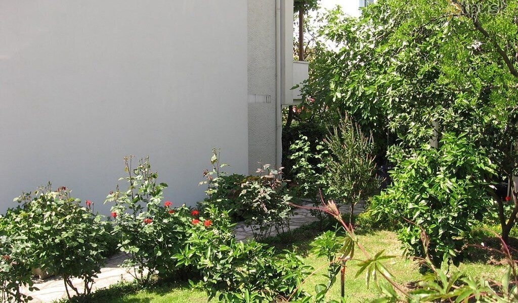 Изображение Jelena 3*