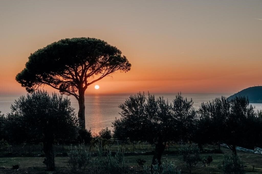 Изображение Talici Hill Villa 4*