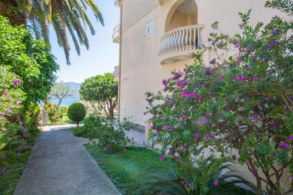 Изображение Villa Zarko Mitrovic 3*