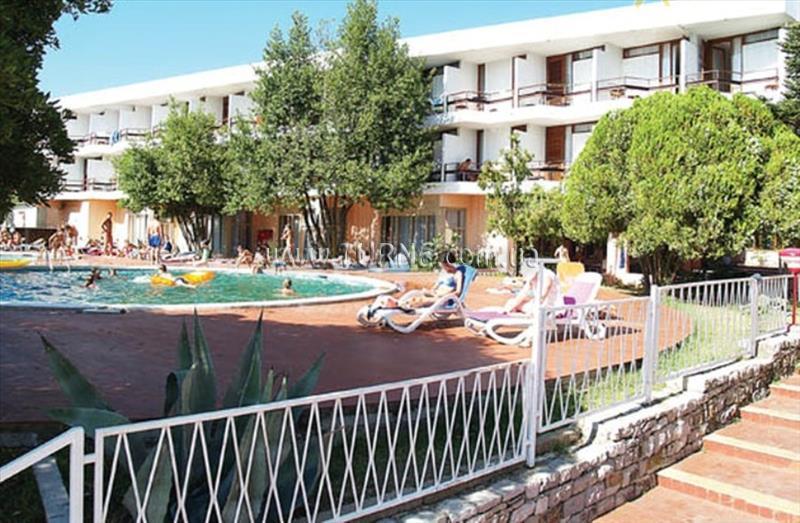 Фотография Kamelia 2*