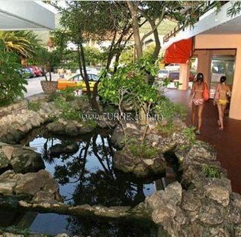 Отель Kamelia 2*