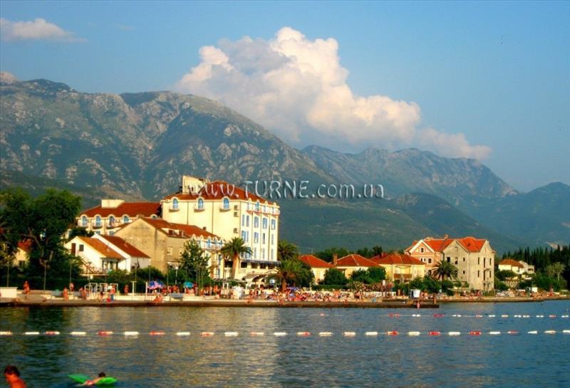 Изображение Jelton 3*