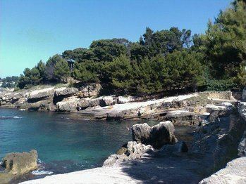 Фото Dolcino Hotel 3*