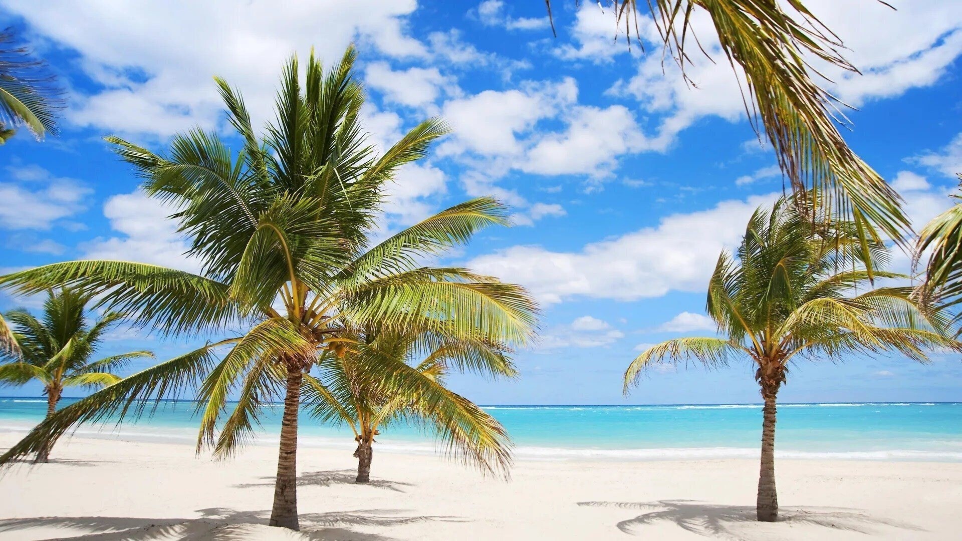 Фотография Karibo Punta Cana 3*
