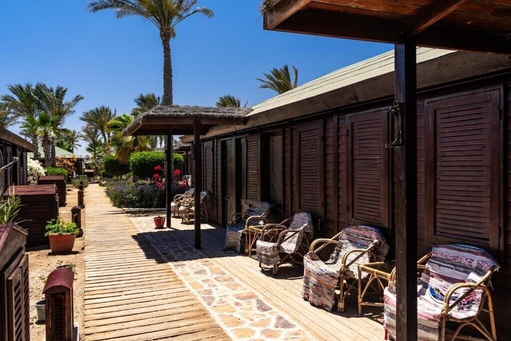 Картинка Abu Dabbab Diving Lodge 4*