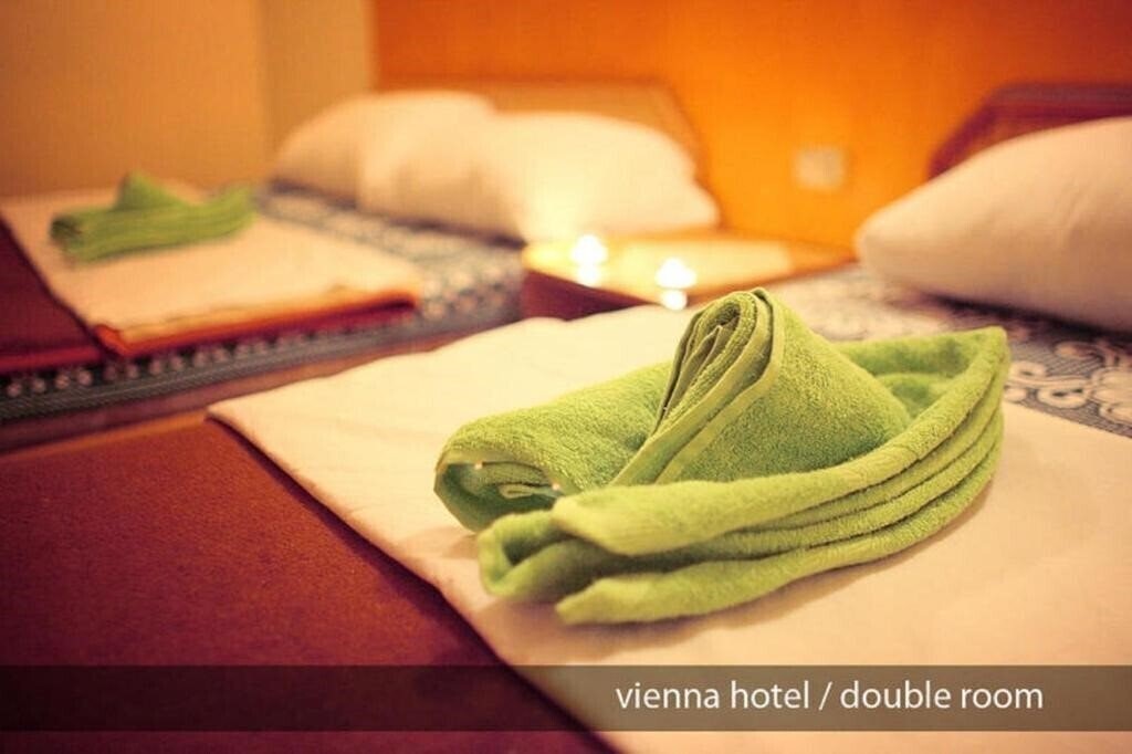 Отель Vienna Hostel 2*