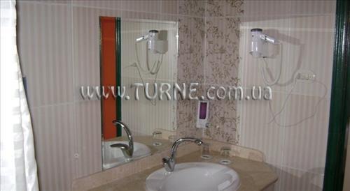 Картинка Nefertiti Sun Flower 4*