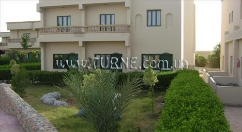 Фото Nefertiti Sun Flower 4*