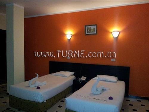 Отель Nefertiti Sun Flower 4*