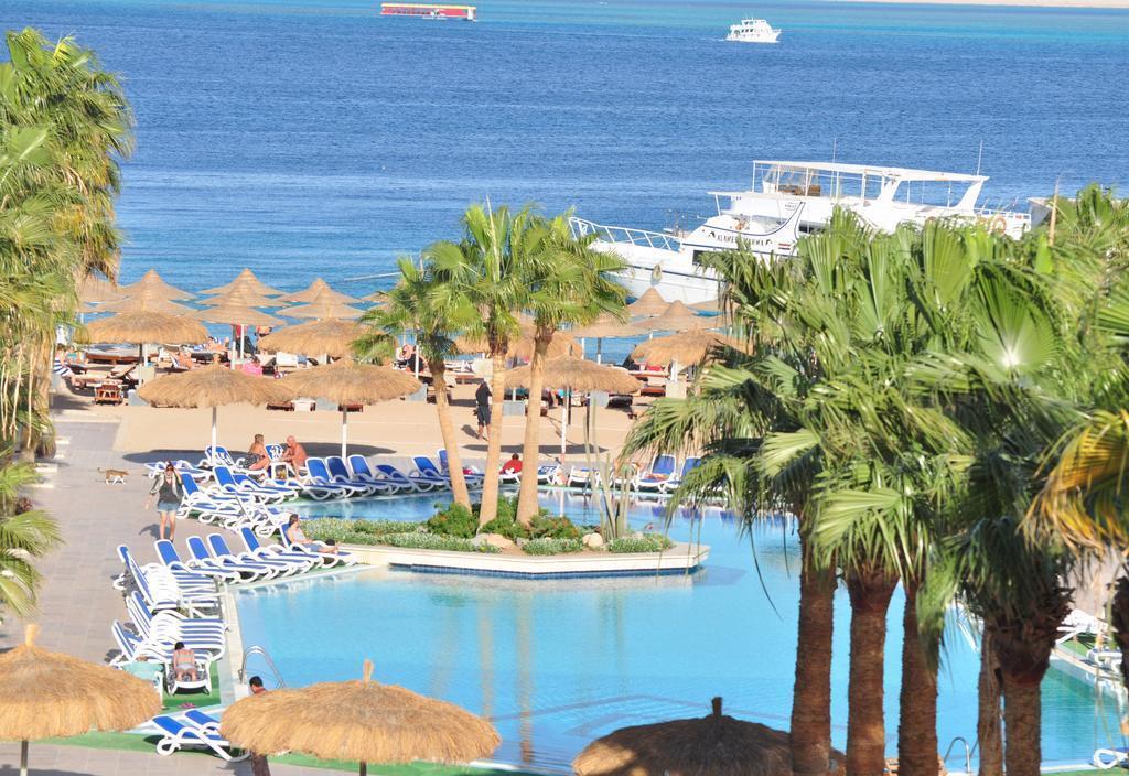 Отель Aqua Fun Club Hurghada (ex. Club Hotel Aquafun) 3*