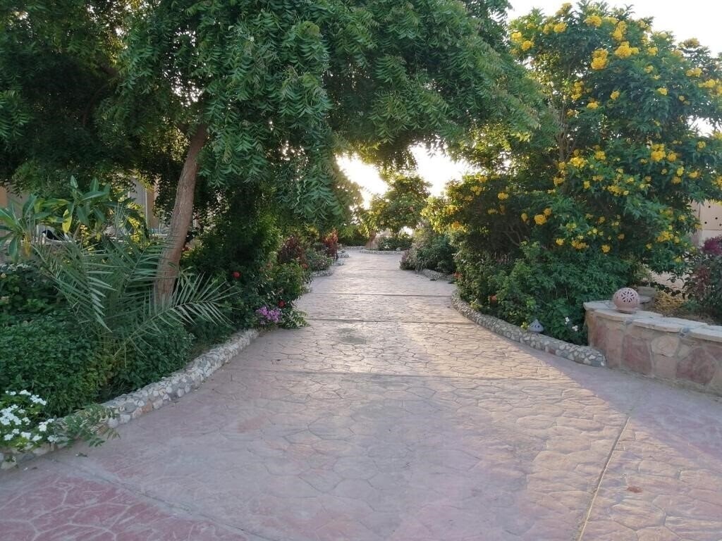 Картинка Silver Beach Redsea Resort 3*