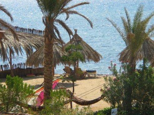 Фото Nakhil Inn & Dreams 3*