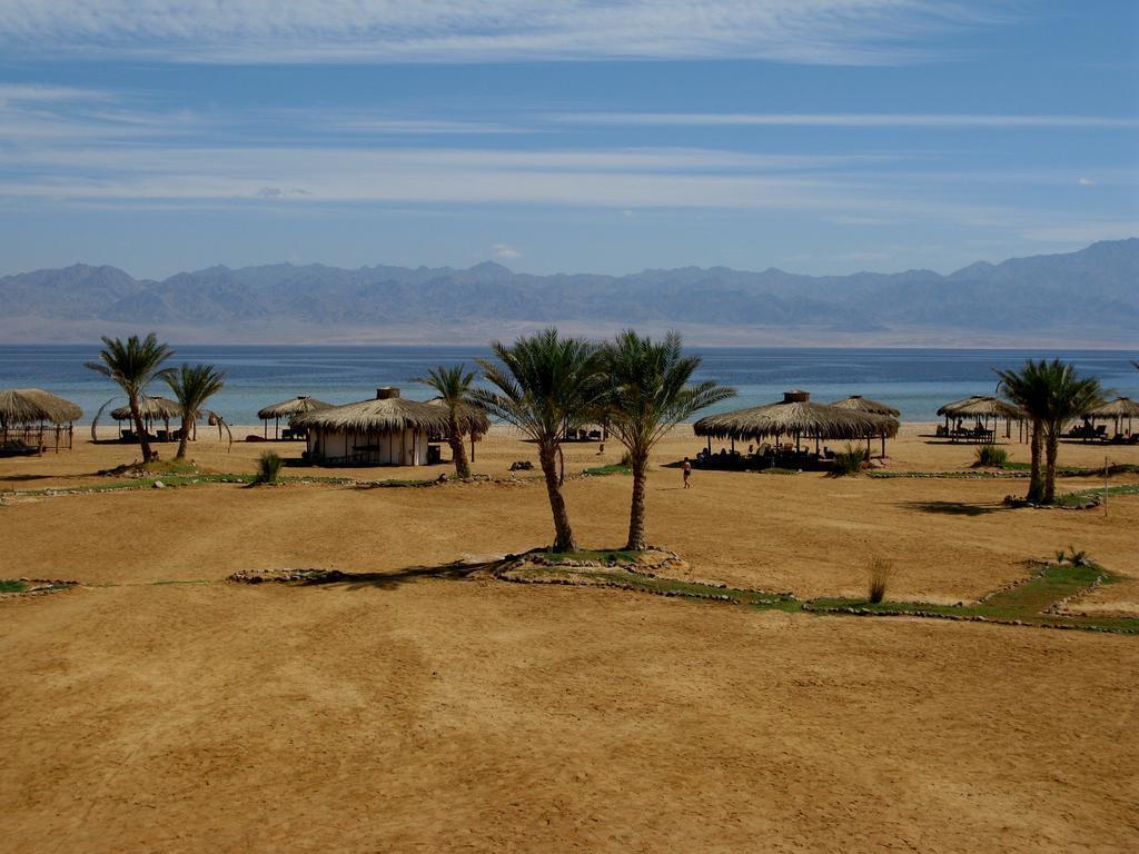 Фотография Swisscare Nuweiba Resort 3*