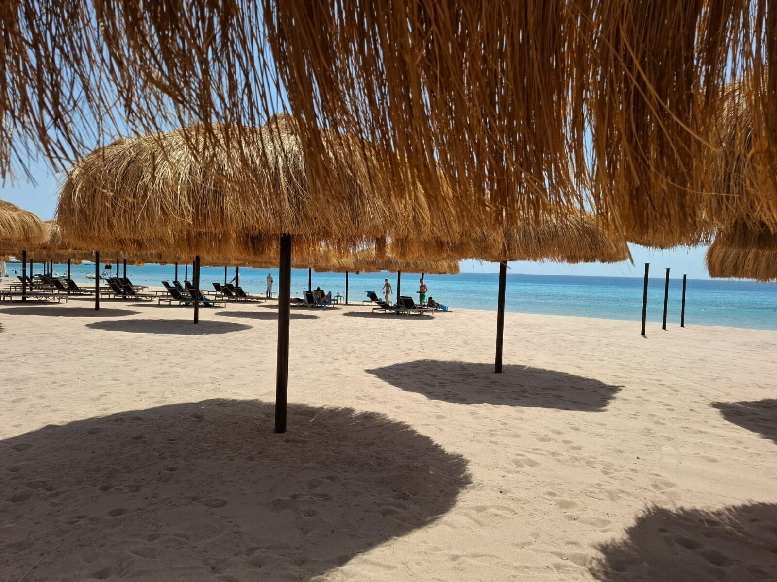 Фотография Al Kasr Sahl Hasheesh 5*