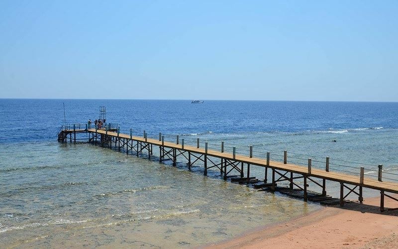 Картинка Royal Paradise 4*