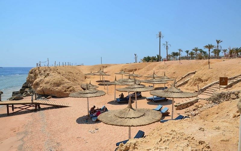 Фотография Royal Paradise 4*