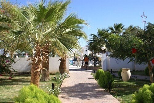 Фотография Poinciana Sharm Resort (ex. Grand Sharm Resort) 4*