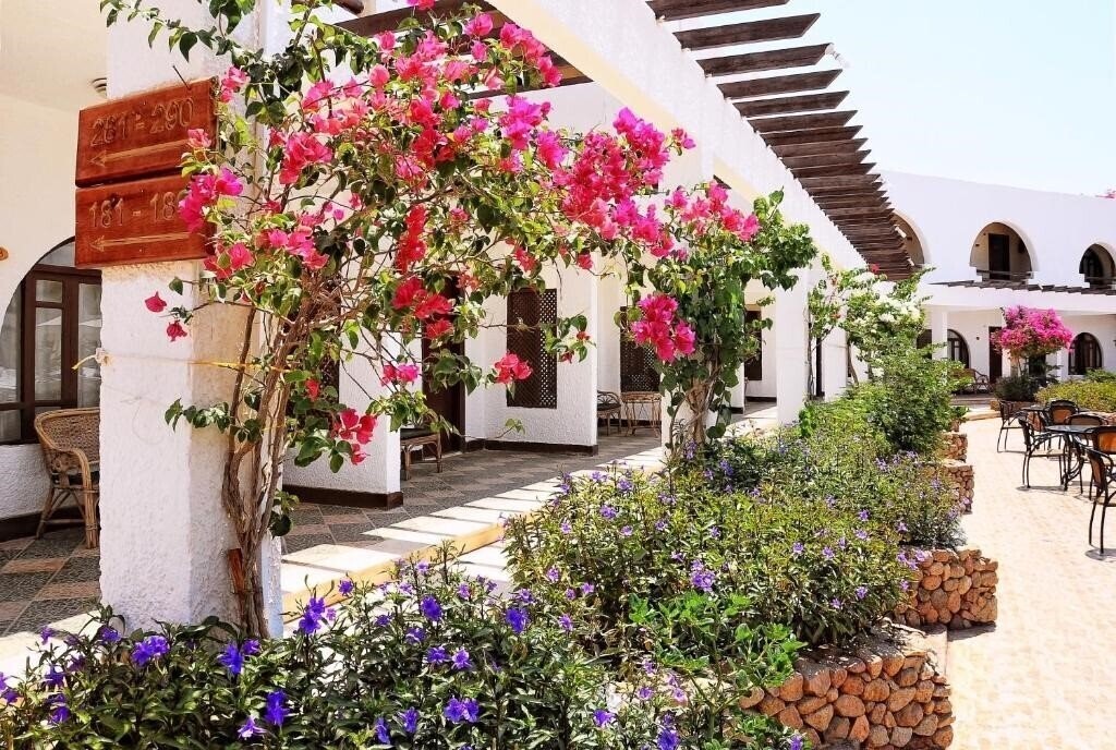 Изображение Aida Hotel 3*