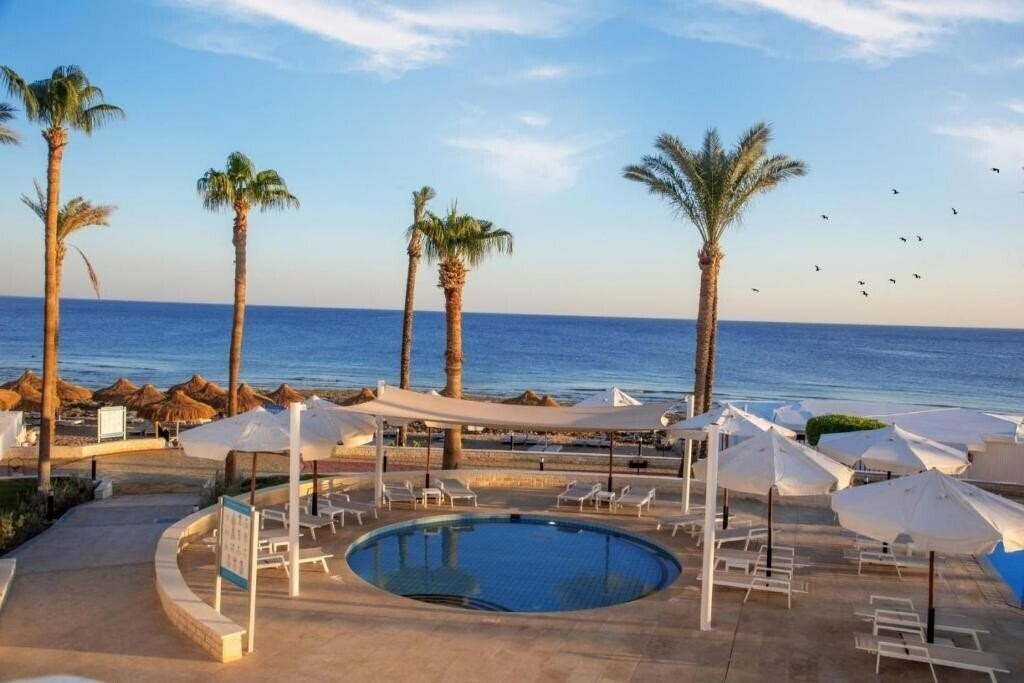 Картинка Posh Club by Sunrise Remal Beach 5*