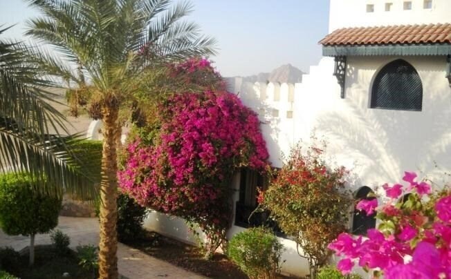 Фотография Al diwan Hotel (ex. Comfort El Diwan) 3*