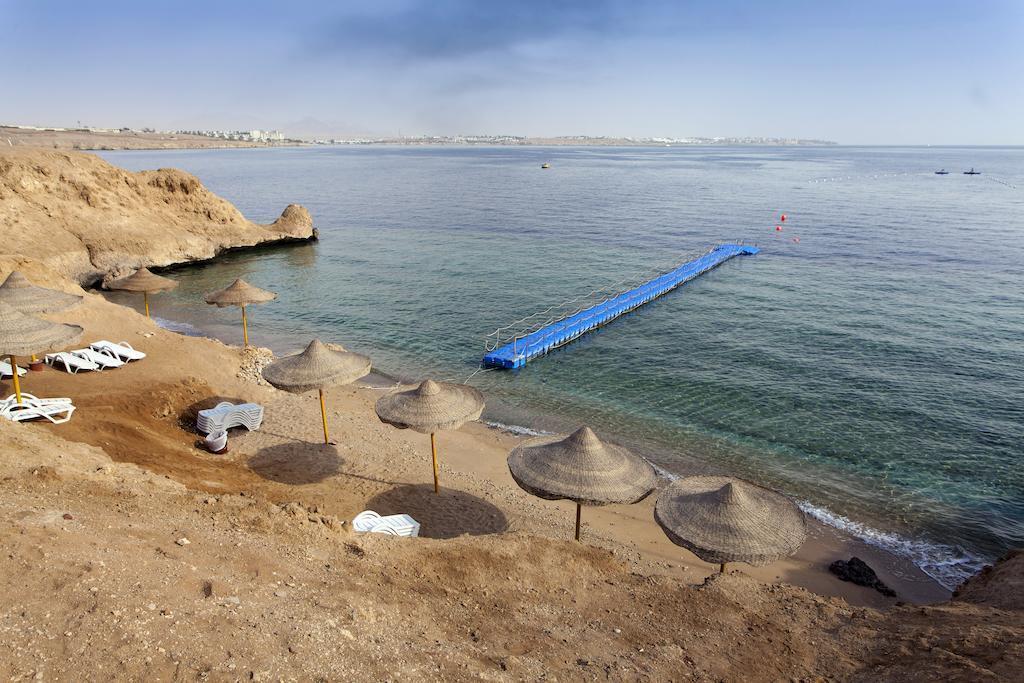 Фотография Sharm Club Beach Resort (ex. Labranda Tower Bay, Labranda Sharm Club) 4*