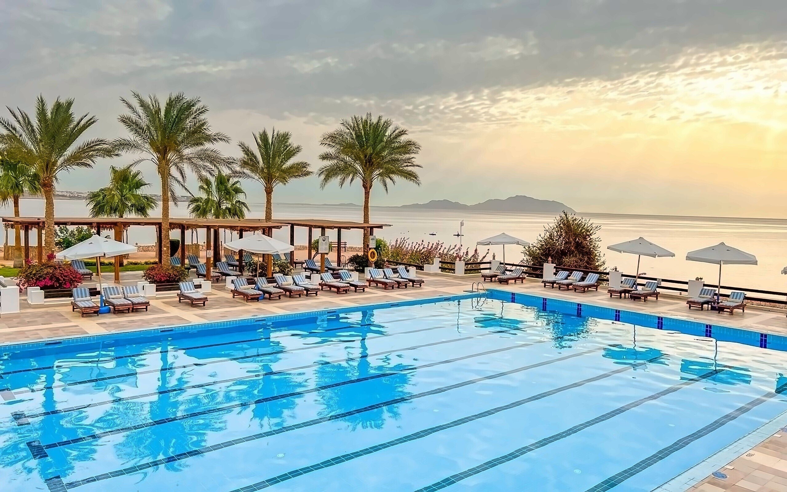 Отель Sharm Club Beach Resort 4*