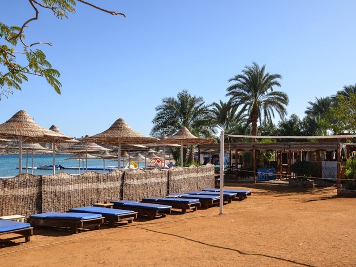 Картинка Ocean Club Hotel Sharm 3*