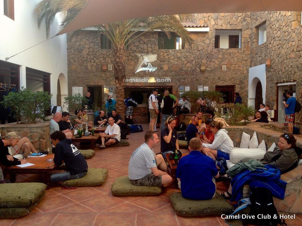 Фото Camel Dive Club & Hotel 4*