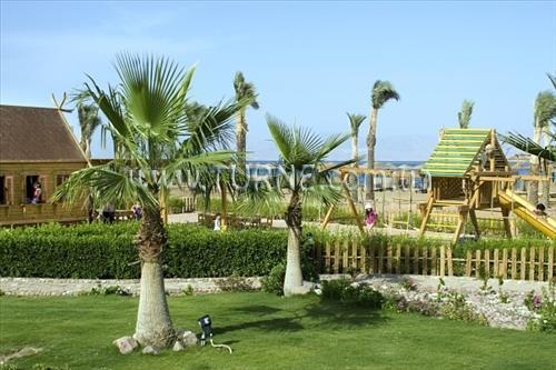 Фото Swiss Inn Dream Resort 5*