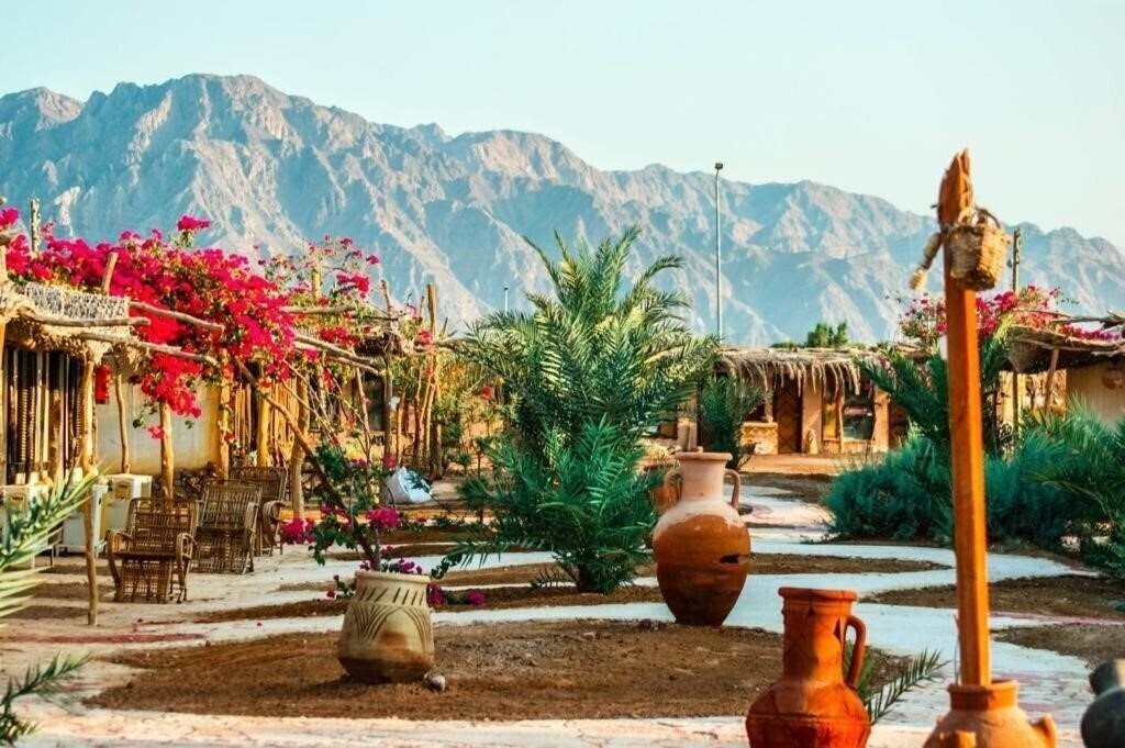 Изображение Al Sayadeen Village 3*