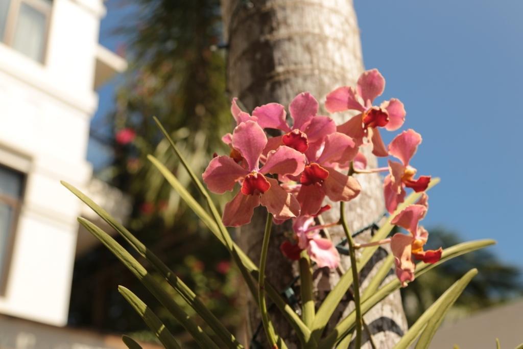 Картинка One Crescent Place Hotel 4*