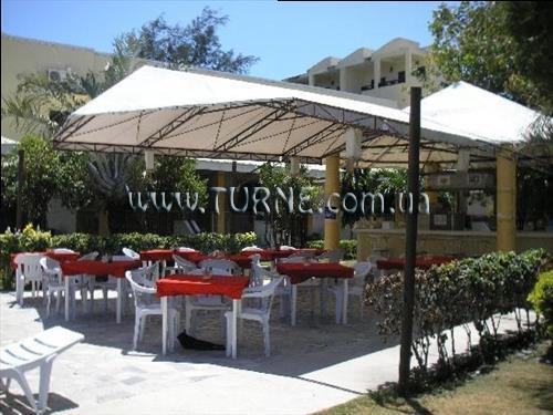 Фотография Alice In Wonderland 3*