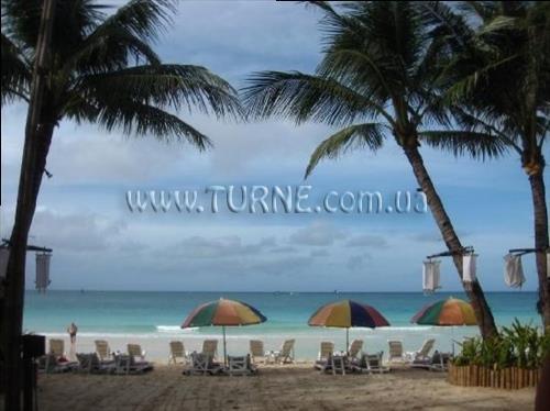 Изображение Nigi Nigi Nu Noos 3*