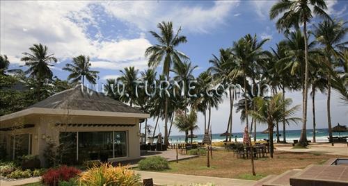 Отель Sheridan Beach Resort And Spa 3*