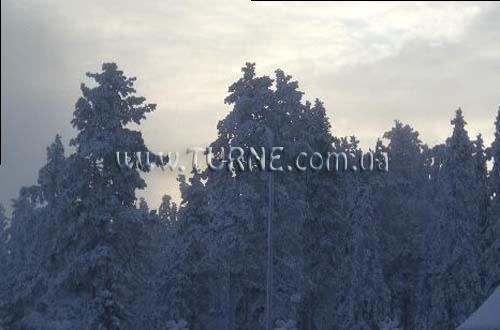 Отель Apartment Ruka Suites 4*