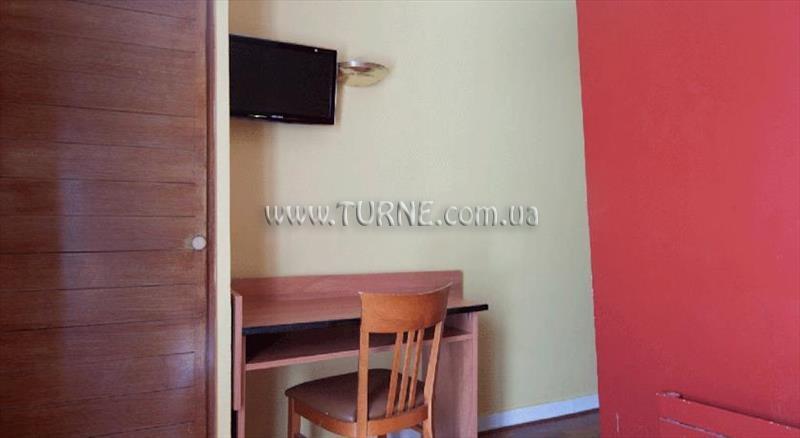 Фотография Hibiscus 2*