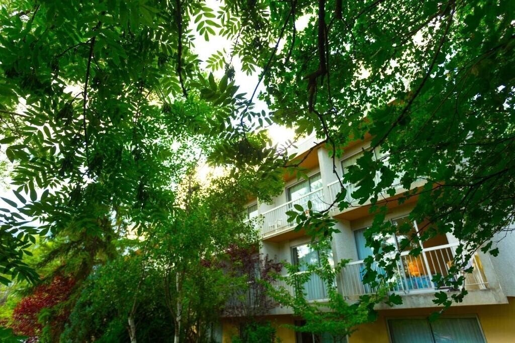 Картинка Hotel Restaurant Pavillon Carina (ex. Hotel Carina Pavillon) 2*