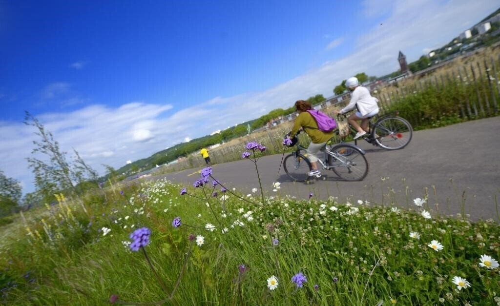 Изображение Holiday Inn Express Rouen Centre Rive Gauche 3*