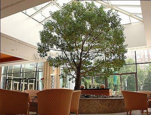 Изображение Inter Continental Berlin 5*