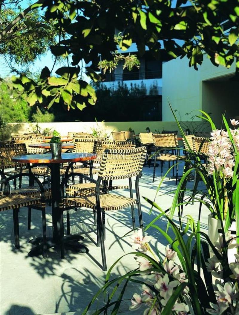 Фотография Amarillia 4*