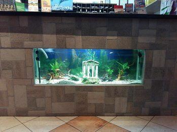 Картинка Sparta Team 1*