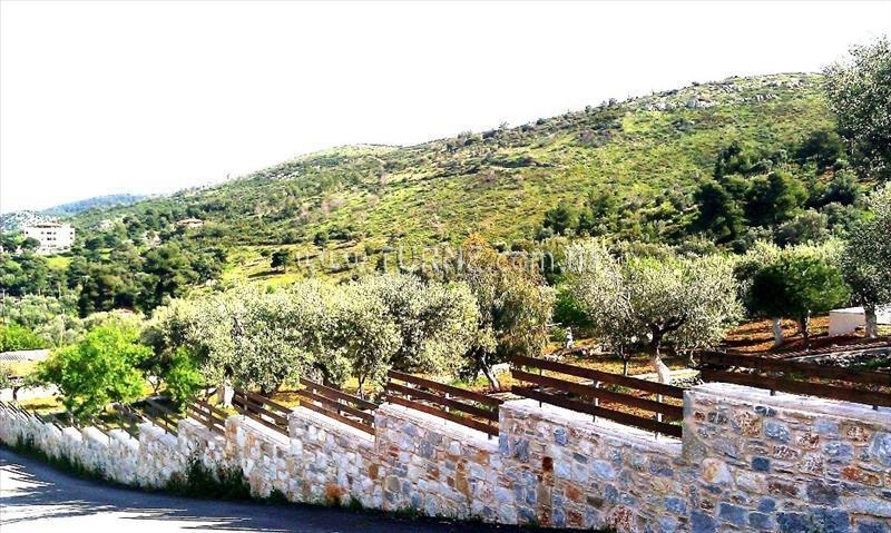 Фотография Villa Xenia Konaki вилла