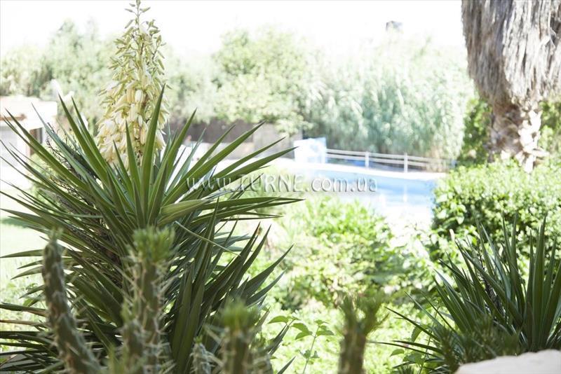 Фотография Minoas Hotel 2*