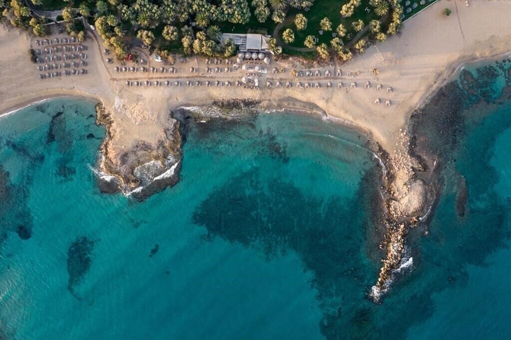 Отель Phaea Cretan Malia (ex. Cretan Malia Park) 5*