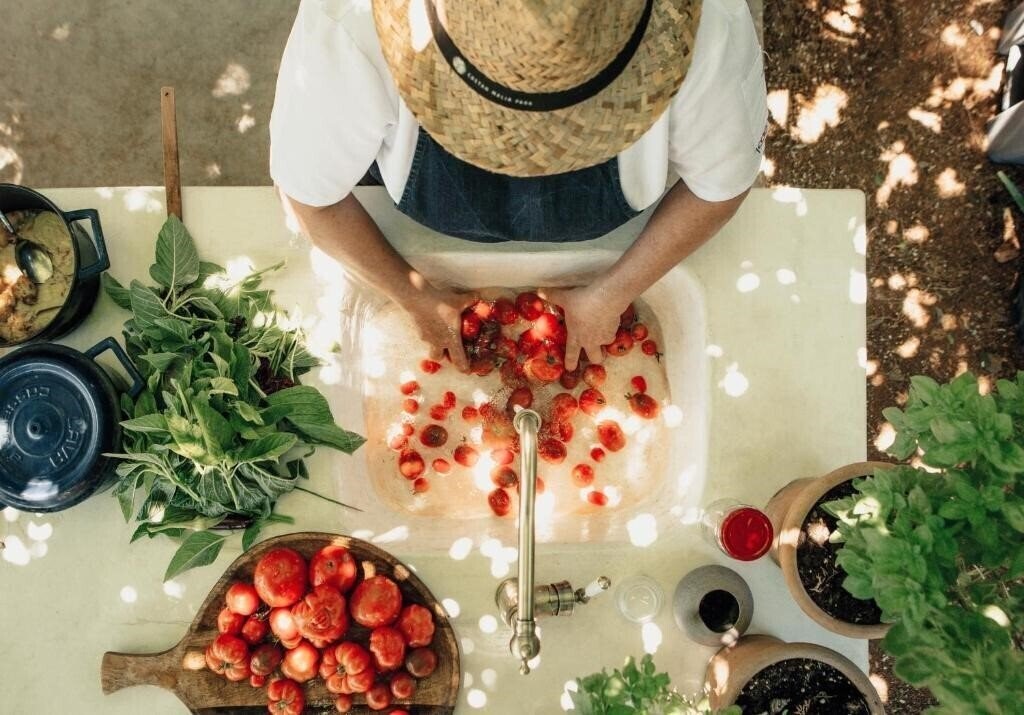 Фотография Phaea Cretan Malia (ex. Cretan Malia Park) 5*