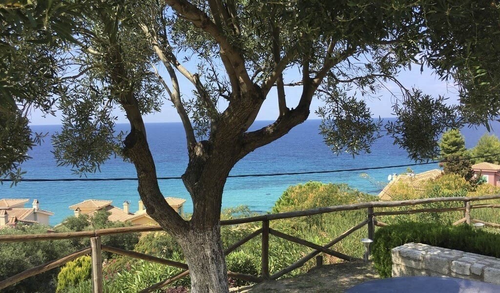 Картинка Alma Elegant Rooms Apt апартаменты