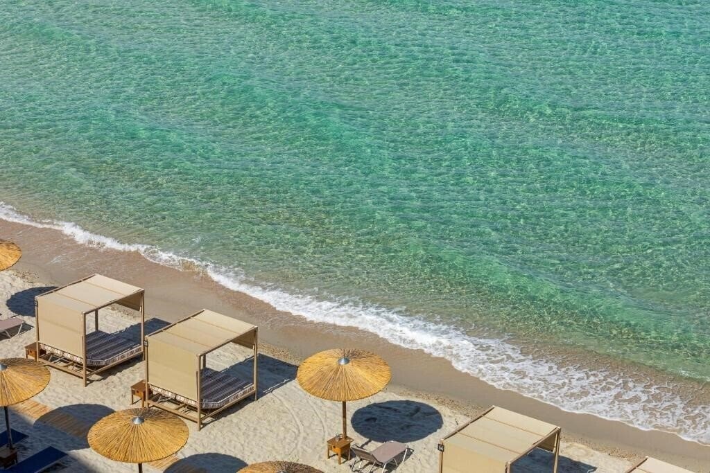 Изображение Ammon Zeus 4*