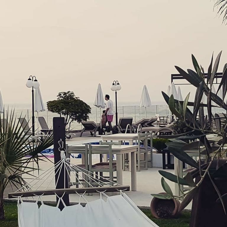 Фотография Top Hotel 3*